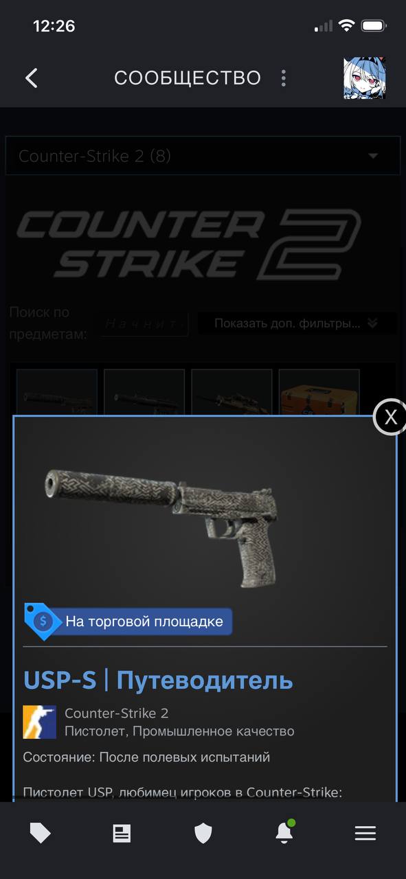 Скин USP-S Путеводитель для Counter-Strike 2