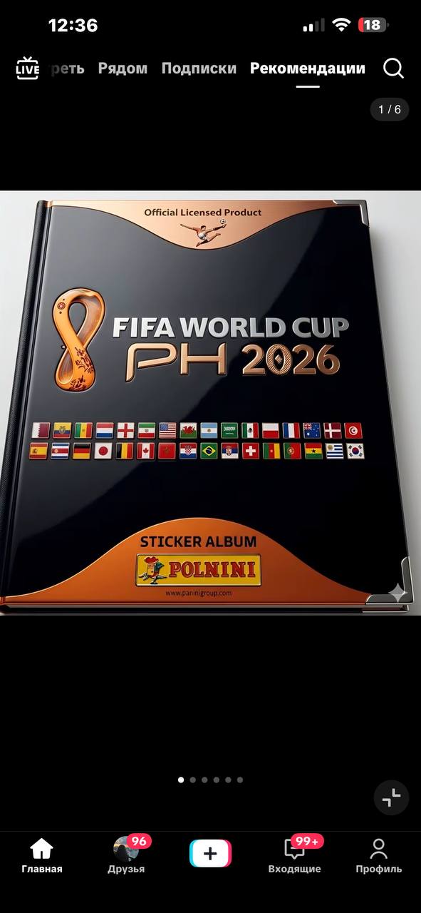 Сувенирный альбом для наклеек FIFA World Cup